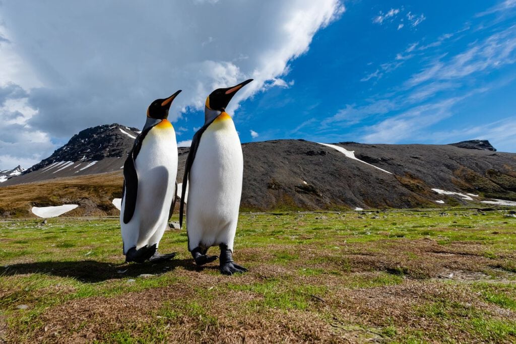 nature_inspiration_17-031,21441_webdownload_1280