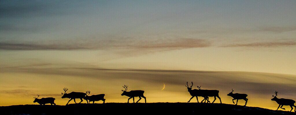 8fe6de38-7988-4049-967a-a2310a0117ad-v-34