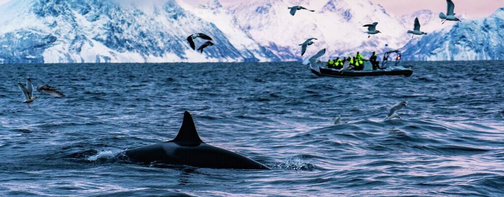 e8eb62c2-a904-4fc1-a049-86980fa1b5fc-v-34