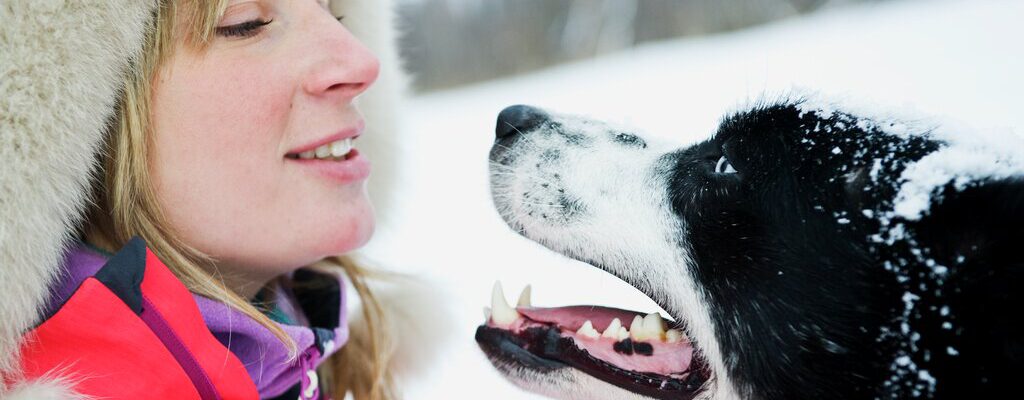 f5749ae3-316d-4934-ab0d-c2bbf684bcd1-v-34