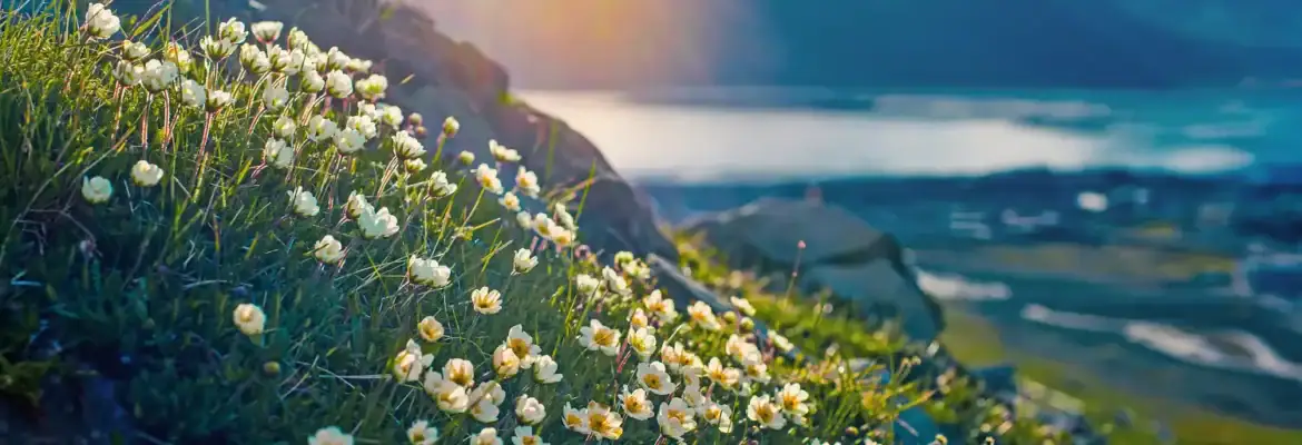 shutterstock_671014528c_resized