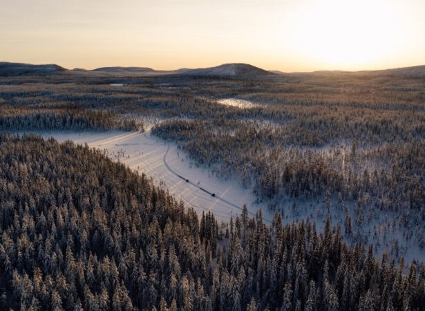 65116524640fc1667b2f390b_Husky-Safari-Schwedisch Lappland (19)