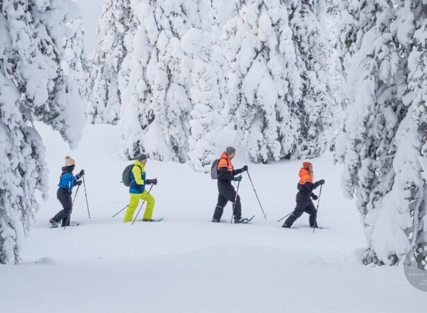 6892102312e6549732a78c0e_Schneeschuhwandern-Finnisch-Lappland