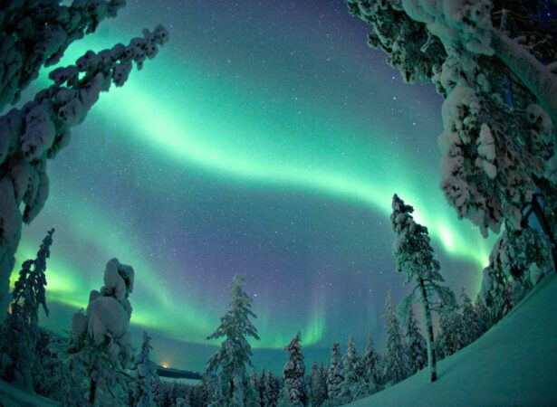 69b8486043a447d8ca193e36_Polarlichter Jagd-Lappland-Ylläs