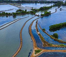 Ostseemündung Geh auf Kreuzfahrt