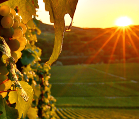 Abendsonne Geh auf Kreuzfahrt