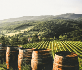 Weinfässer Geh auf Kreuzfahrt