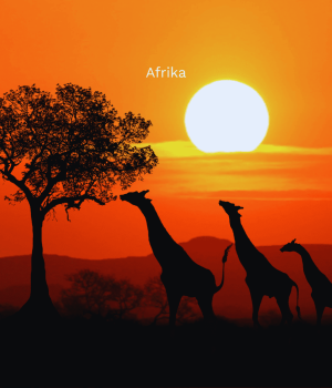 Afrika (1)