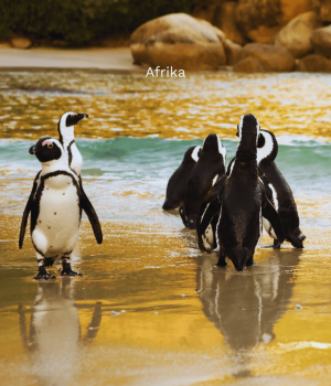 Afrika (10)