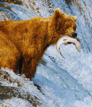 Alaska (18)