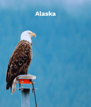 Alaska