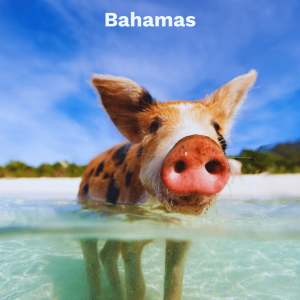 Bahamas