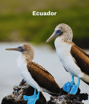 Ecuador (2)