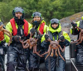 Havila Königskrabben Expedition