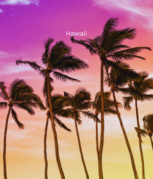 Hawaii_Geh auf Kreuzfahrt (18)