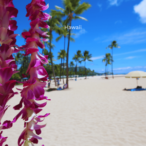 Hawaii_Geh auf Kreuzfahrt (6)