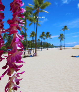 Hawaii_Geh auf Kreuzfahrt (6)