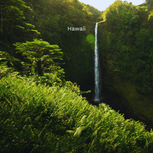 Hawaii_Geh auf Kreuzfahrt (7)