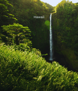 Hawaii_Geh auf Kreuzfahrt (7)