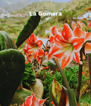 La Gomera