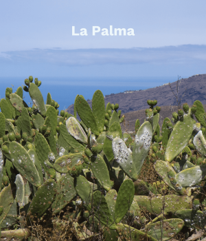 La Palma