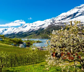 _MAIN_HERO_1136-Lofthus-hardanger-Robin-Strand-Norphoto_3x2
