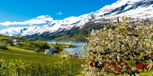 _MAIN_HERO_1136-Lofthus-hardanger-Robin-Strand-Norphoto_3x2