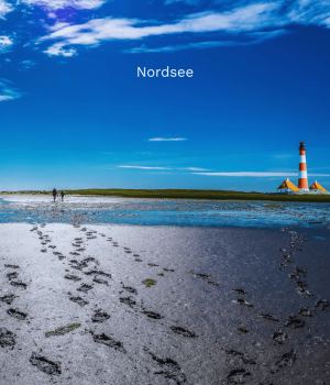 Nordsee (19)