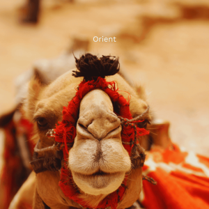 Orient (6)