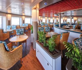 Plantours MS Hamburg Palmgarten