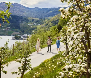 VISITHARDANGERFJORD_ULVIK_SIDERRUTA_HAARA_2021_C35A8970_3x2
