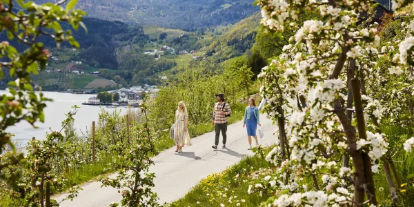 VISITHARDANGERFJORD_ULVIK_SIDERRUTA_HAARA_2021_C35A8970_3x2