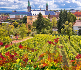 Weinberge Geh auf Kreuzfahrt