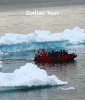 Zodiac Tour