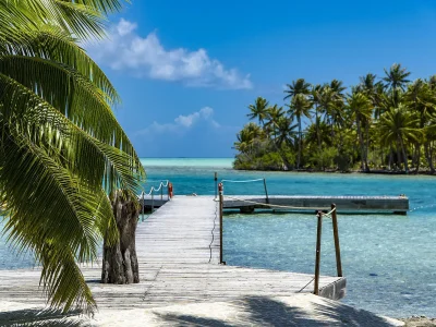 le paul gauguin-3763290