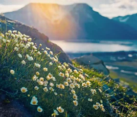 shutterstock_671014528c_resized